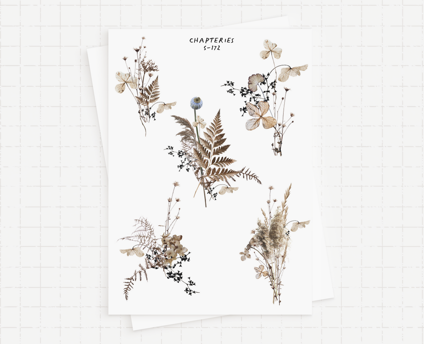 Sticker sheet - Dried Flowers - S-172