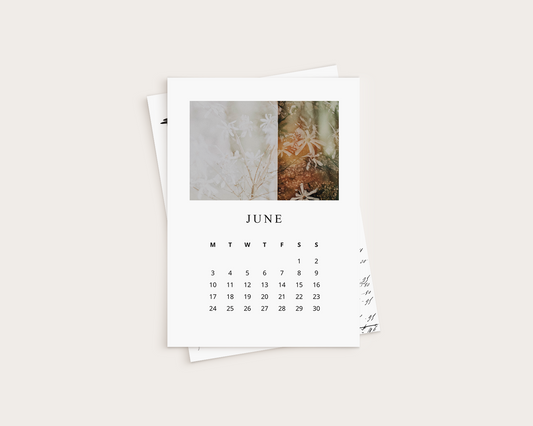 Calendar - Analog pictures - June