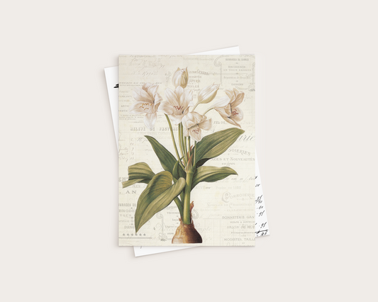 Pattern (Paper) - Vintage botanical illustration - P-040