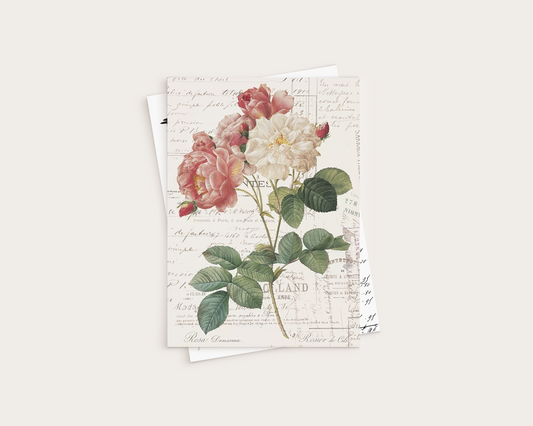 Pattern (Paper) - Rose illustration - P-056