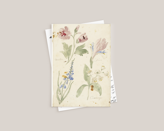 Pattern (Paper) - Flowers drawings - P-092