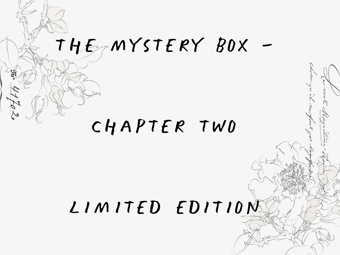 The mystery box - Chapter Two edition